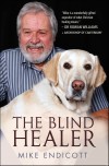 Mike Endicott - The Blind Healer