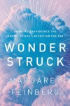 Margaret Feinberg - Wonder Struck