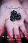 Meg Moseley - A Stillness of Chimes: A Novel