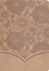 NKJV Study Bible (Thumb-Indexed)
