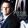 Wayne Haun - Old Soul