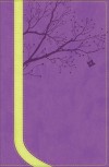 NKJV God Girl Bible Purple and Neon Green Imitation Leather