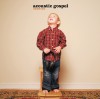 Various - Acoustic Gospel Vol 1