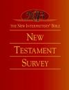 The New Interpreter's Bible: New Testament Survey