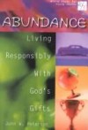 John Peterson - Abundance: Living Responsibly with Gods Gifts (Bible Study for Young Adults 20/30)