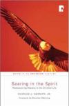 Charles J. Conniry Jr. - Soaring in the Spirit: Rediscovering Mystery in the Christian Life (Faith in an Emerging Culture)
