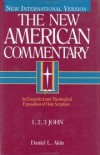 Daniel L. Akin - 1, 2, 3 John